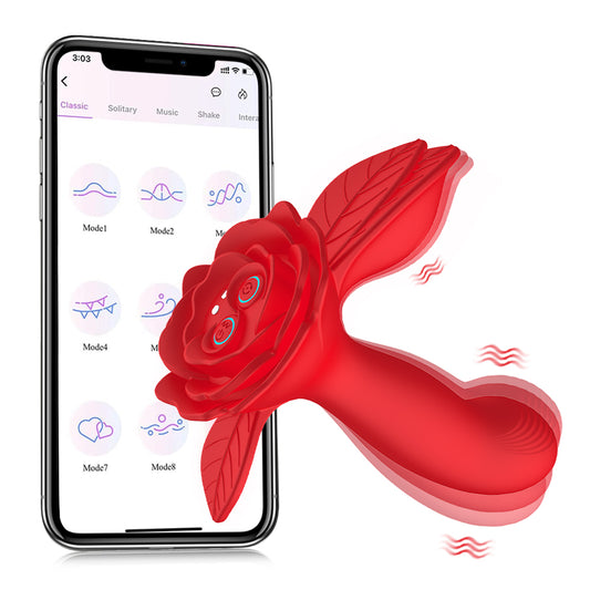 Centerel Vibrator with App&Remote Control,Wearable Panty Vibrator G Spot Vibrator with 10 Modes Adult Sex Toys