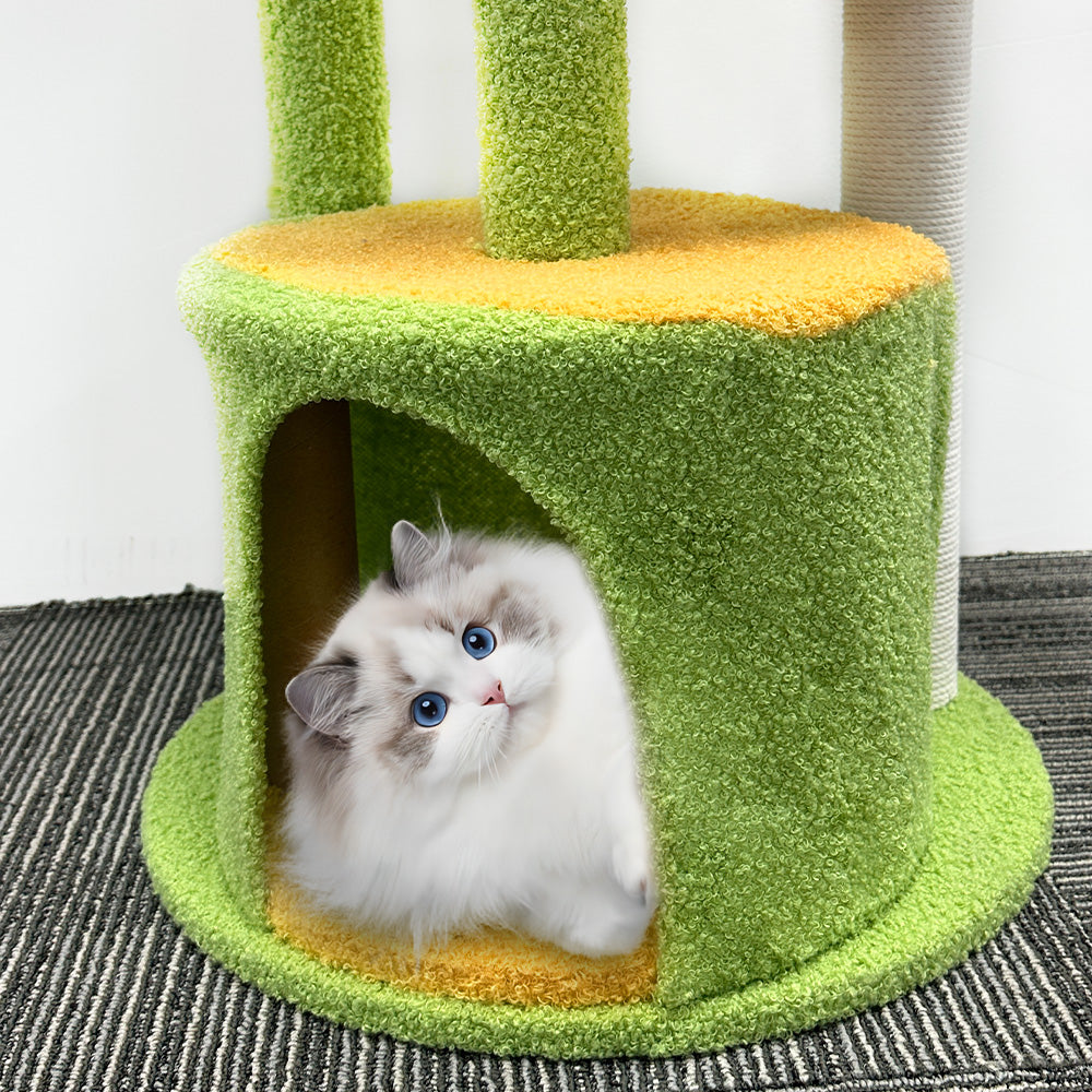 BDUN 35" Cat Tree Tower with Sisal Scratching Posts Condo Perch for Indoor Small Cats, Green