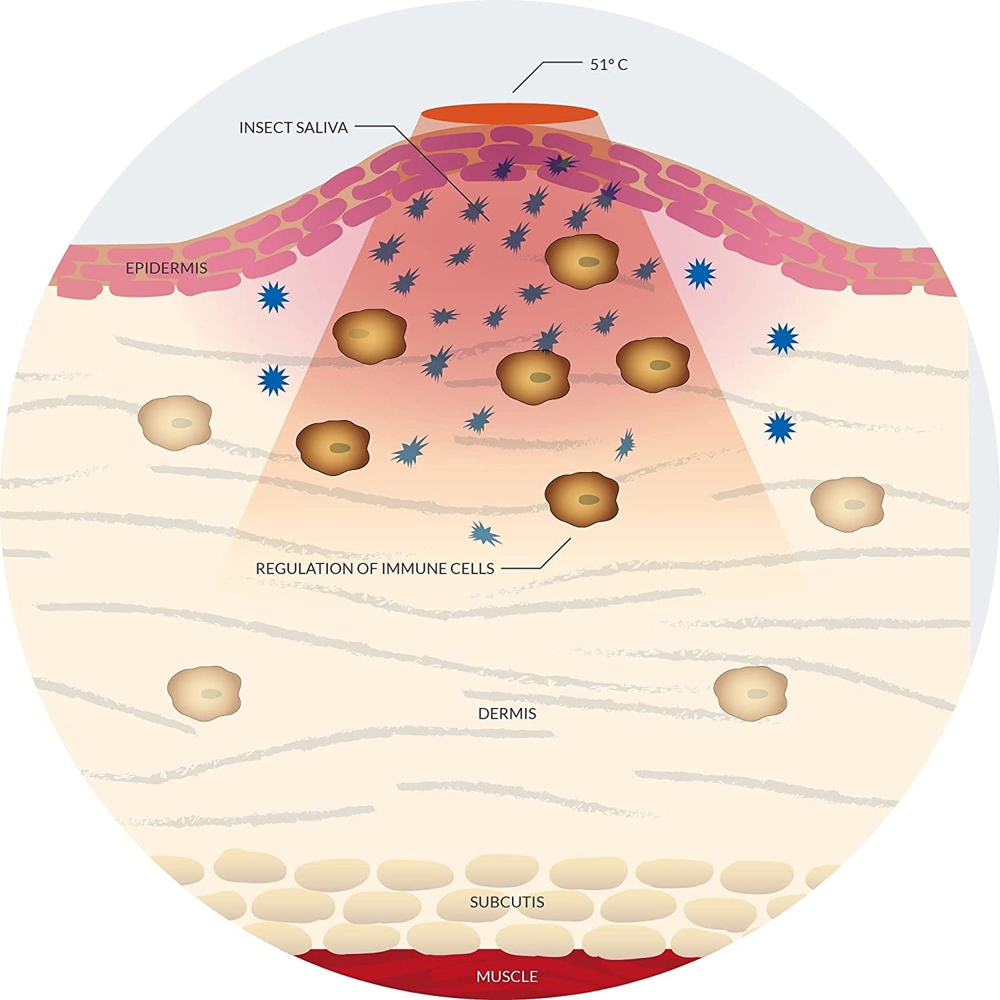 2 Pack Insect Sting and Bite Relief, Chemical-Free Treatment, Fast Symptom Relief, Reduce Pain & Itching, No Odor or Residue