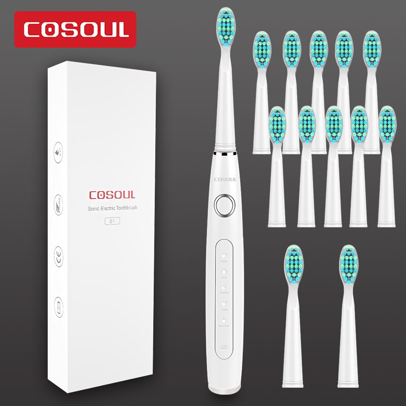 Professional Sonic Electric Toothbrush Rechargeable Waterproof Toothbrush 11 Heads 5 Modes Protect Teeth