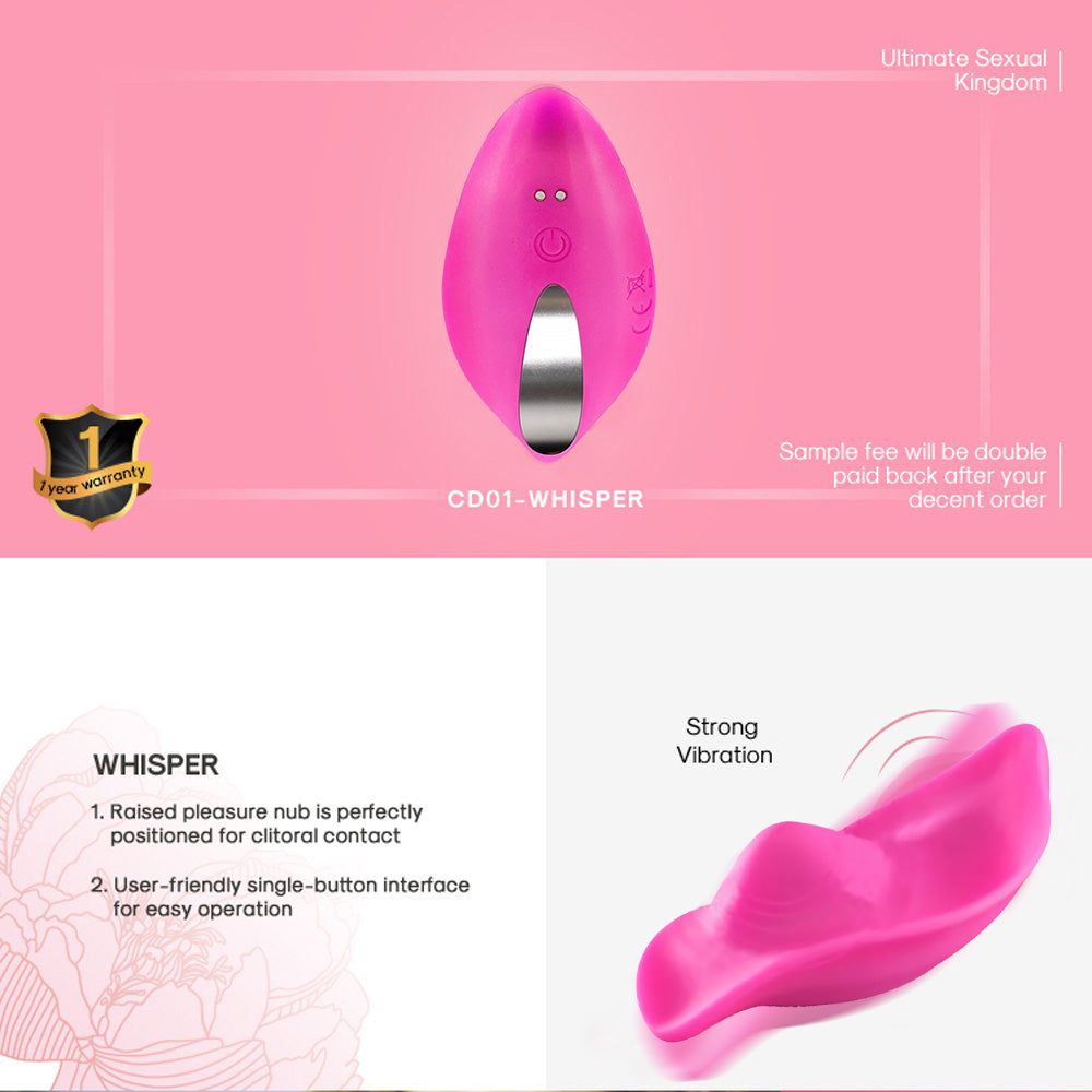 Wearable Panty Vibrator, Remote Control Clitoris G-Spot Stimulator, Adult Sex Toys for Women